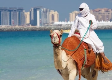 Przewodnik po Fujairah