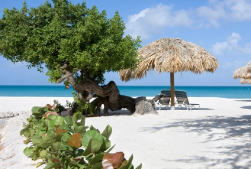 Przewodnik po Aruba