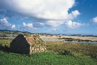 Przewodnik po Zachodnia Irlandia