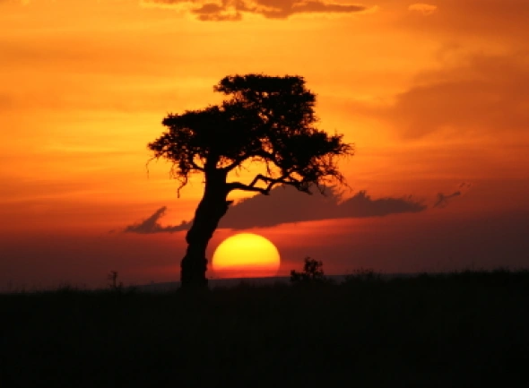 Kenia