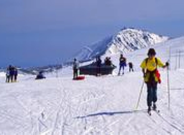 Karkonosze