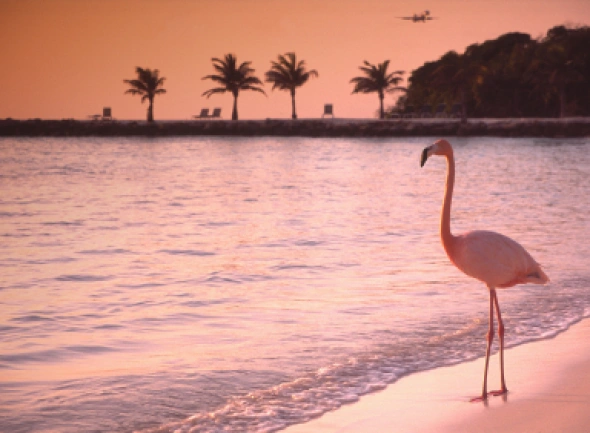 Aruba