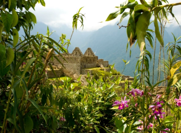 Peru