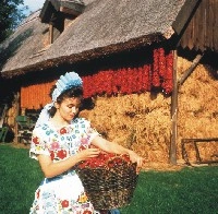 Przewodnik po Kuchnia Węgier