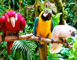 Zoo Oasis Park na Fuerteventurze