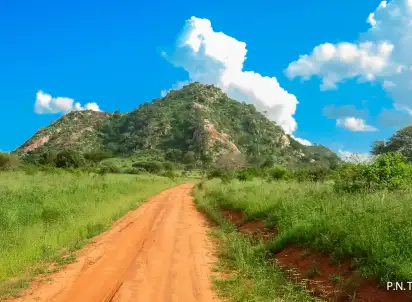 Wycieczka objazdowa Afryka Dzika, Kenia