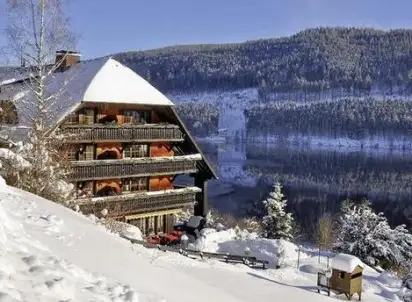 Hotel Alemannenhof, Niemcy