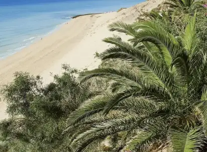 Hotel Allsun Esquinzo Beach, Fuerteventura