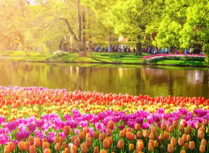 Wycieczka objazdowa Amsterdam - Cudowna Lekkość Bytu, Amsterdam