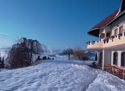 Hotel Arche, Karyntia