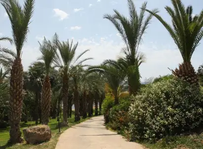 Hotel Ascos Coral Beach, Paphos
