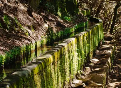 Wycieczka objazdowa Azory i Madera - wyspy zielone, wyspy szczęśliwe, Portugalia