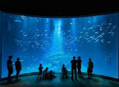 Wycieczka objazdowa Bałtyckie Głębiny - Oceanarium + Straslu, Niemcy