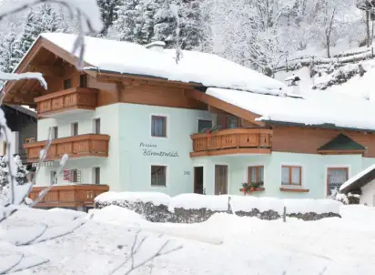 Hotel Bohmerwald (Saalbach), Bad Gastein