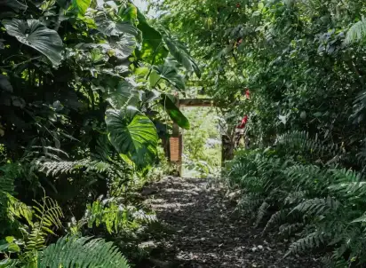 Hotel Buahan - a Banyan Tree Escape, Indonezja