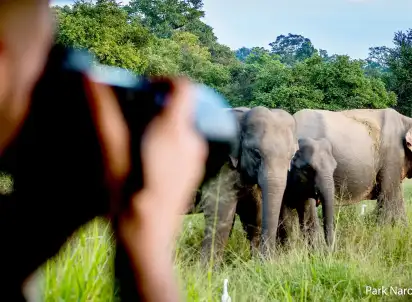 Wycieczka objazdowa Cejlońskie Safari, Sri Lanka