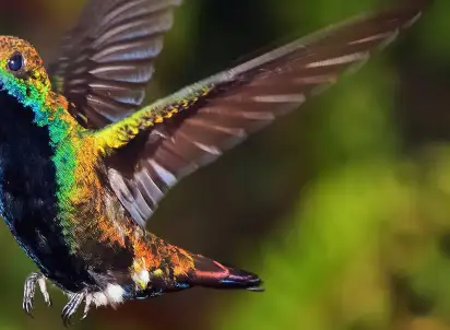 Wycieczka objazdowa Cumbialumbia, Kolumbia