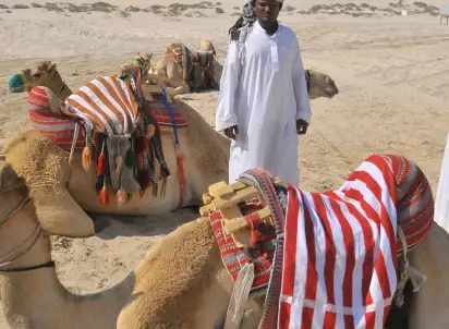 Wycieczka objazdowa Emiraty Arabskie /+ rejs w Omanie/, Emiraty Arabskie