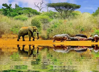 Wycieczka objazdowa Etiopia - królestwo legend, Etiopia