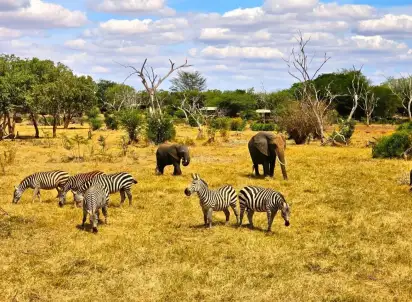 Wycieczka objazdowa Fotograficzne Safari Tsavo East - wypoczynek i safari, Kenia