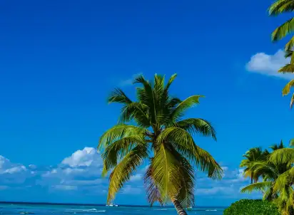 Hotel Karaiby Południowe + Turks i Caicos - Fort Lauderdale, Rejsy