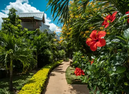 Hotel La Mariposa (La Preneuse), Mauritius