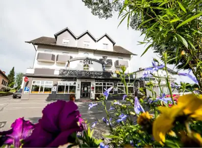 Hotel Maiers Oststeirischerhof, Styria