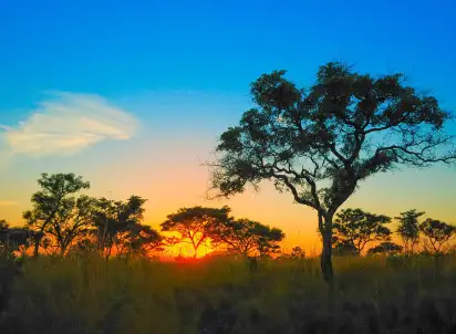 Wycieczka objazdowa Mozambik i safari w RPA, RPA