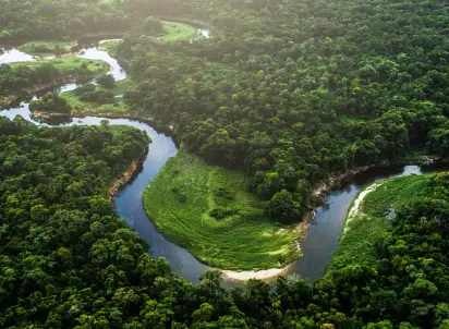 Wycieczka objazdowa Nieokiełznana przyroda - Manaus, Iguacu, Brazylia