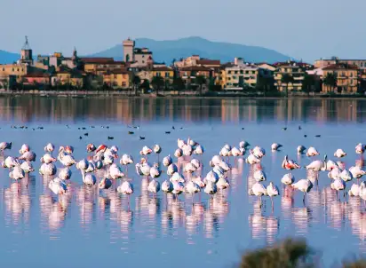 Hotel Park Residence (Orbetello), Włochy