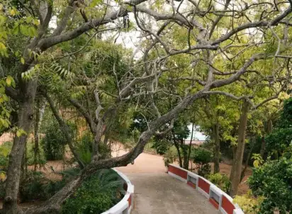 Hotel Peacock Beach, Sri Lanka