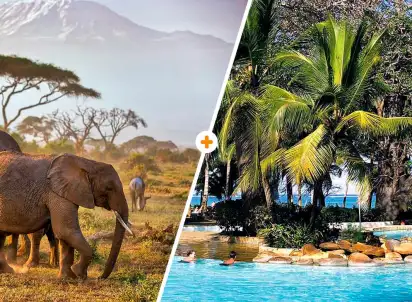 Wycieczka objazdowa Powitanie z Afryką / Diani Sea Lodge, Kenia