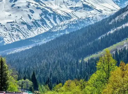 Wycieczka objazdowa Przystanek Alaska - rejs wśród fiordów i lodowców, USA