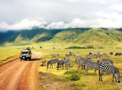 Wycieczka objazdowa Rajskie Safari, Tanzania