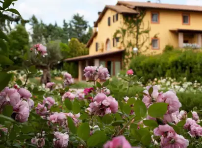 Hotel Resort e Spa San Crispino, Włochy