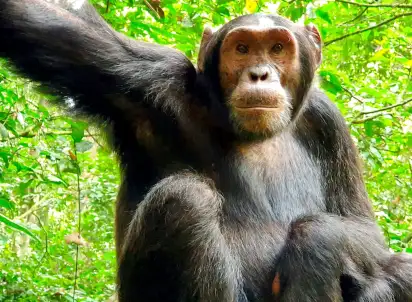 Wycieczka objazdowa Rwące Przygody Nad Nilem, Uganda