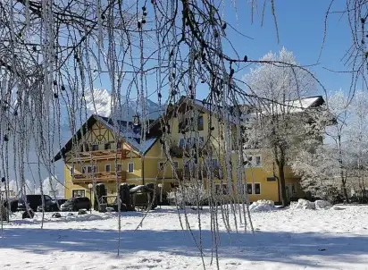 Hotel Schweizerhaus, Tyrol