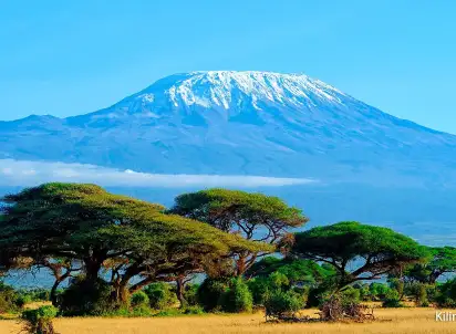 Wycieczka objazdowa Śniegi Kilimandżaro, Kenia