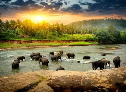 Wycieczka objazdowa Sri Lanka - Perły Cejlonu, Sri Lanka