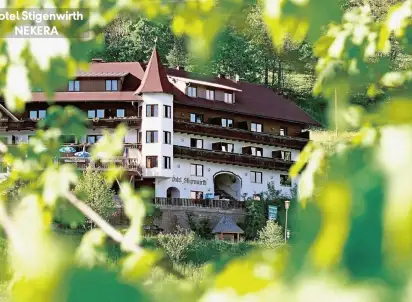Hotel Stigenwirth, Styria