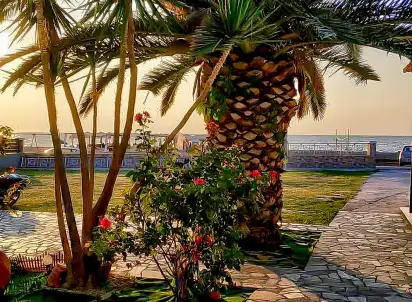 Hotel Studia Fotis Anaxos, Lesbos