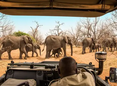 Wycieczka objazdowa Tam, gdzie rządzi natura: Zimbabwe i Botswana, Zimbabwe