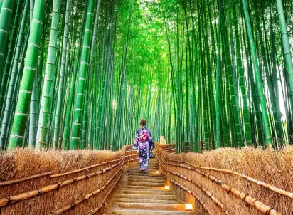 Wycieczka objazdowa Tam, Gdzie Wschodzi Słońce, Japonia