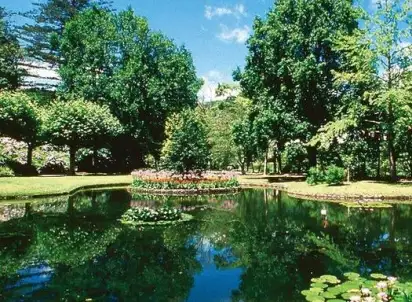 Hotel Terra Nostra Garden, Azory