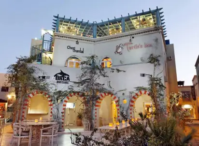 Hotel Turtles Inn, Morze Czerwone