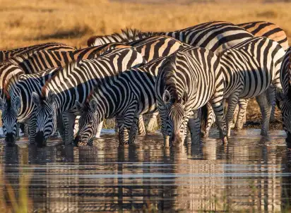 Wycieczka objazdowa Uzuri Tanzania!, Tanzania