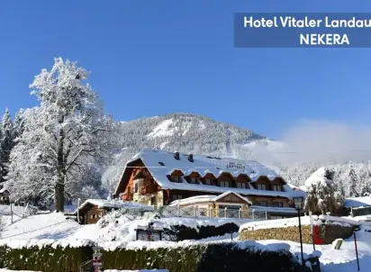 Hotel Vitaler Landauerhof, Styria