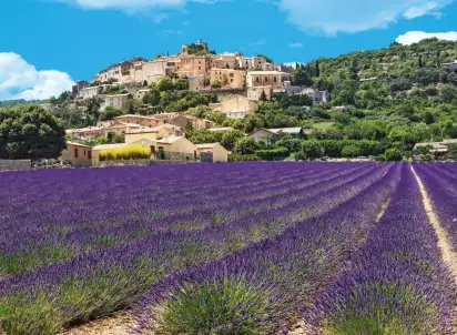 Wycieczka objazdowa W Kolorze Lawendy I Ochry, Francja
